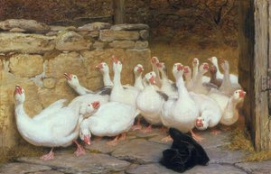 Endişeli Bir An, 1878